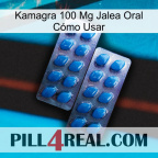 Kamagra 100 Mg Jalea Oral Cómo Usar viagra2